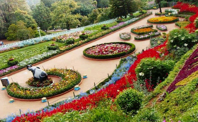 zakir-garden chandigarh